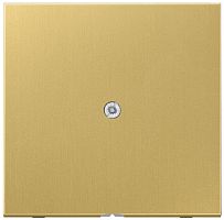 Вывод кабеля без рамки Jung LS990 metal латунь картинка